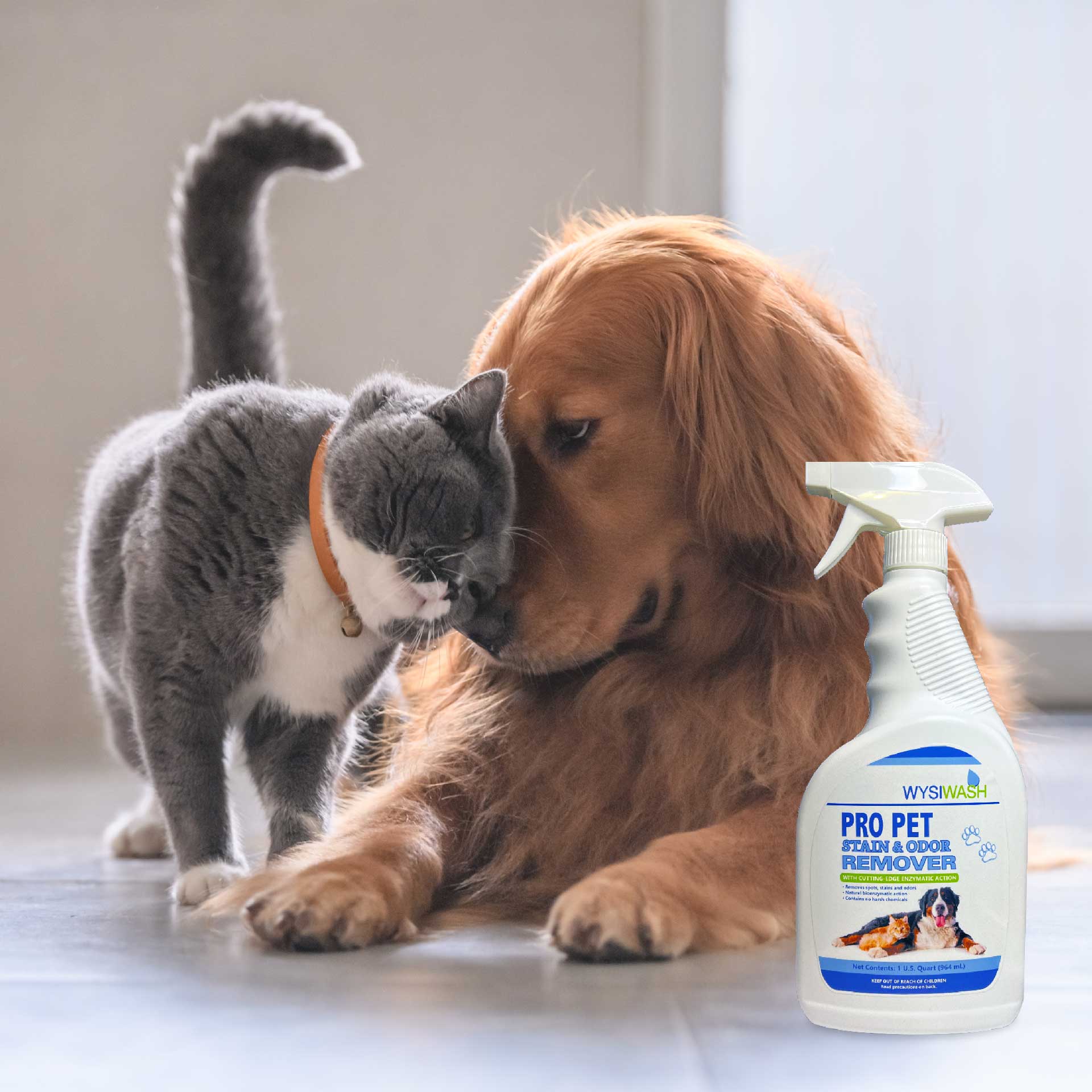 Stain & top odor eliminator