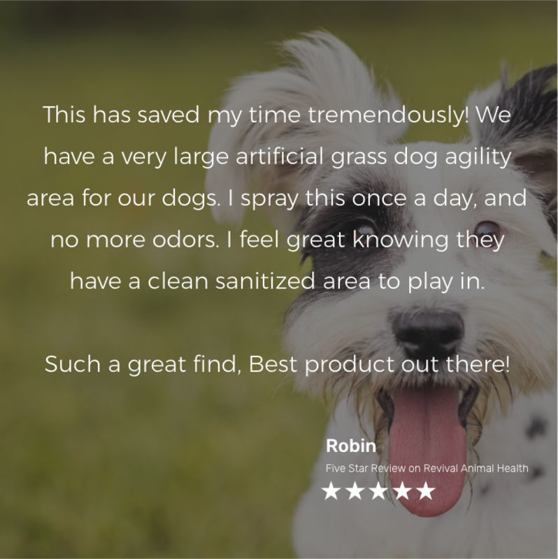 Deodorize Turf with EcoFriendly Pet Safe Wysiwash